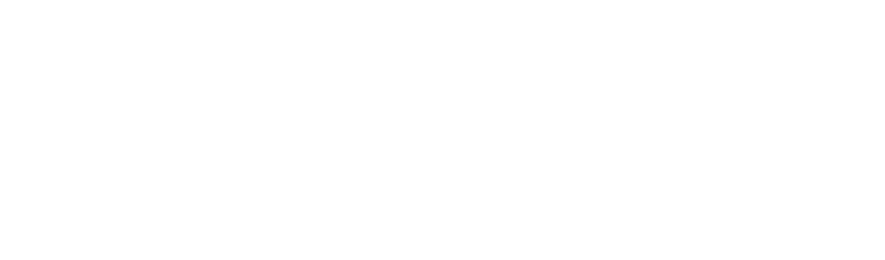 NV logo W